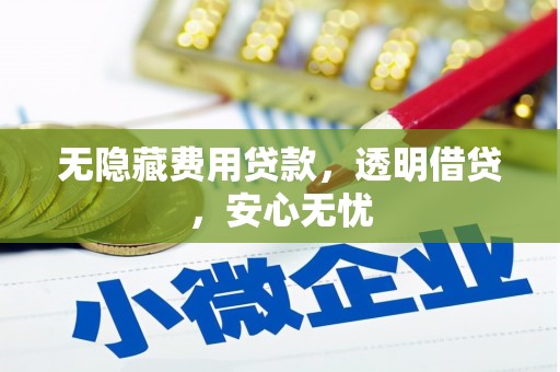 庄河无隐藏费用贷款，透明借贷，安心无忧