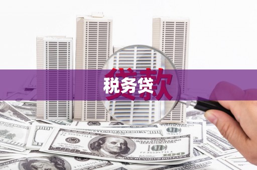 庄河税务贷