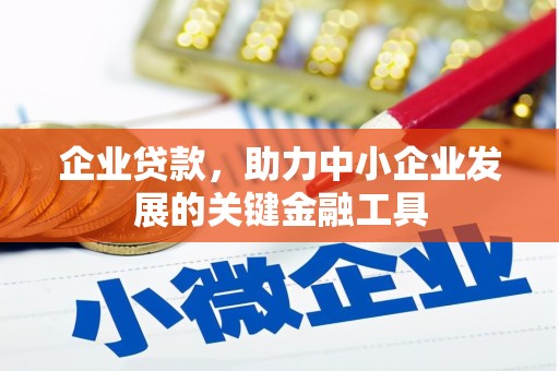 庄河企业贷款，助力中小企业发展的关键金融工具