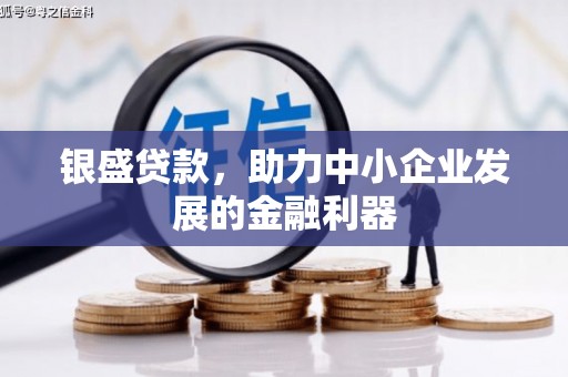 庄河银盛贷款，助力中小企业发展的金融利器
