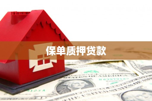 庄河保单质押贷款
