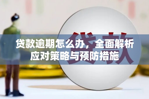 庄河贷款逾期怎么办，全面解析应对策略与预防措施