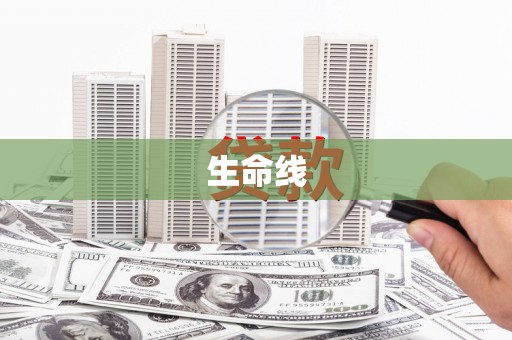 庄河生命线