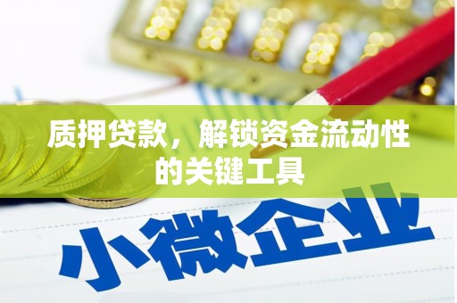 庄河质押贷款，解锁资金流动性的关键工具