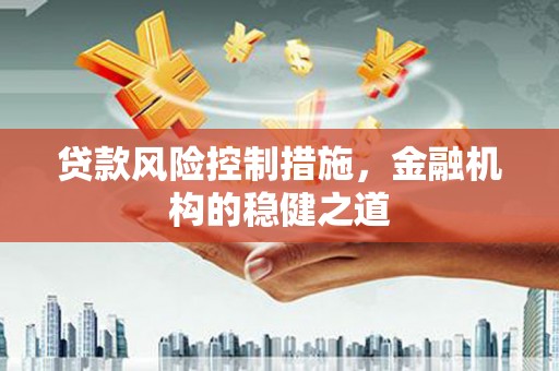 庄河贷款风险控制措施，金融机构的稳健之道