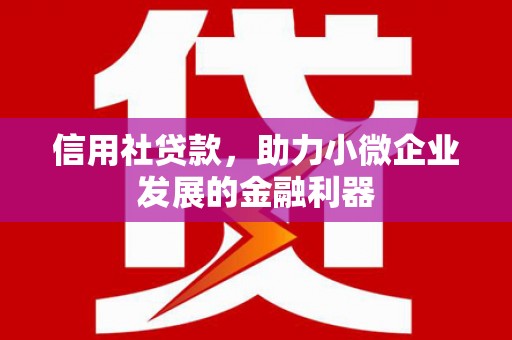 庄河信用社贷款，助力小微企业发展的金融利器