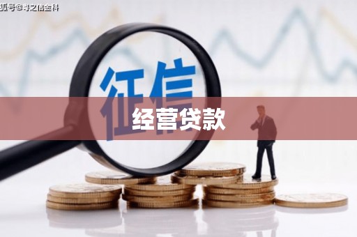 庄河经营贷款