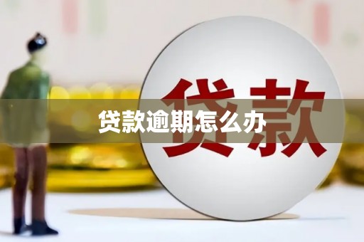 庄河贷款逾期怎么办