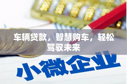 庄河车辆贷款，智慧购车，轻松驾驭未来