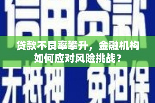 庄河贷款不良率攀升，金融机构如何应对风险挑战？