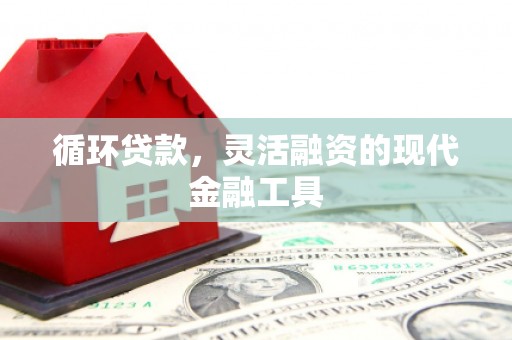 庄河循环贷款，灵活融资的现代金融工具