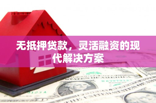 庄河无抵押贷款，灵活融资的现代解决方案