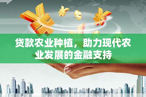 庄河贷款农业种植，助力现代农业发展的金融支持